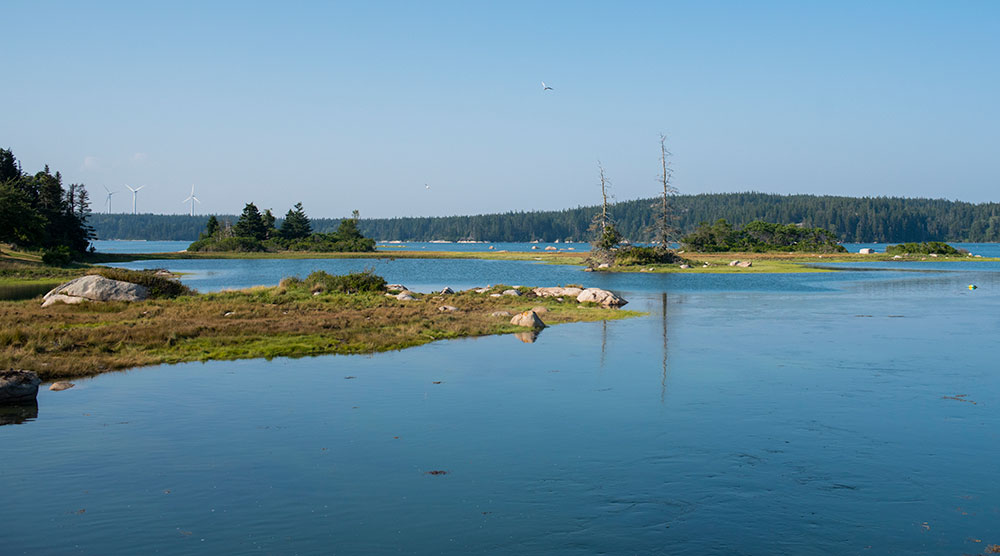 View from the water taxi around Vinalhaven, Maine