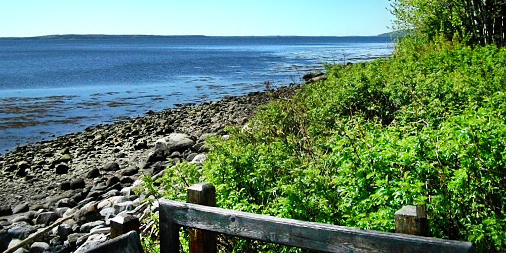 The rocky shore at Moose Point State Park, Searsport, Maine